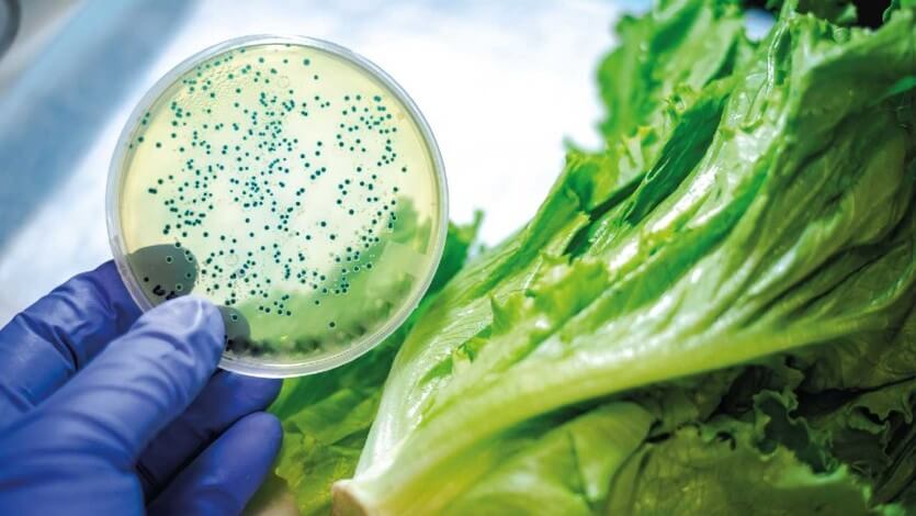 Bea ac fenolicos nat b.jpg